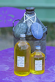 Lavender (lavandin) Oil Products, Valensole Plateau, Alpes Haute Provence, France, Europe