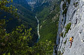 Climbing, Gorges du Verdon Natural Park, Alpes Haute Provence, France, Europe
