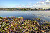 Lake and peat bog Bellefontaine, Jura, France