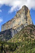 Mont Aiguille, in the Vercors, altitude: 2,087 meters, control hill spared by the erosion of limestone and marl secondary, Prealps, France
