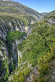 Views from the Maline Road, above the Imbut Trail, the wildest area of the Verdon Canyon, The Verdon Gorge, Prealapes, France