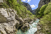 Landscape of the bottom of the Verdon Gorge, along the path of the Imbut, the wildest area of the canyon, The Verdon Gorge, Prealps, France