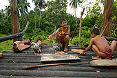 Mentawai boys and chikens, Siberut, Mentawai, Indonesia
