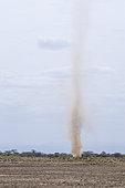 Dust twister, Magadi lake, Kenya