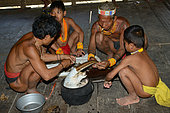 Preparation of a pangolin for cook her, Siberut, Indonesia