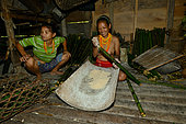 Woman Mentawai putting the semolina of sago in bamboo for the cooking. The mature woman to the right is traditionally dressed. The young woman to the left is dressed "modern". Siberut, Indonesia