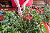 Making of a Christmas wreath