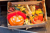 Painted pumpkin for Halloween in a wooden box, autumn, Alsace, France