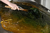Manufacture of sweets, the boiled sugar is poured on the table then incorporation of natural flavors into the dough, Confiserie des Hautes Vosges, Plainfaing, France