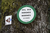 Panel on a fir tree, Pass of Harengs Marinés (1089 m), Xonrupt-Longemer, Hautes-Vosges, France