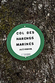 Panel on a fir tree, Pass of Harengs Marinés (1089 m), Xonrupt-Longemer, Hautes-Vosges, France