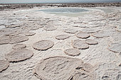Salt Formations on Saltwater Lake, Dallol, Danakil Desert, Ethiopia