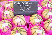 Cavaillon seasonal melons presented in a crate for sale on a market and displayed price, Périgueux, France