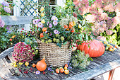Autumnal display on table