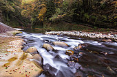 The Cheran. The Cheran is a long river labeled "Wild River" by the Wild Rivers Label, France, Haute-Savoie (74), Natural Regional Park of the Bauges Massif, Hery-sur-Aby, Alps, France