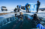 Scuba divers returning from a dive under the ice, Lake Baikal, Siberia, Russia