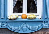Pattypan and squash on windowsill, Germany