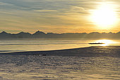 Dog team, the Scoresbysund in the background, Greenland