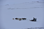 Inuit hunter going to hunt and going past the cemetery, february, Igterajivit district, East Greenland