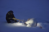 Inuit hunter who just shoot a polar bear, february, Igterajivit district, East Greenland