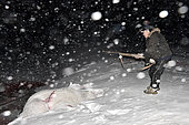Polar bear hunter right after he killed a bear. Igterajivit district in February. Eastern Greenland during the polar night