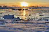 The Scoresbysund and new ice. Greenland, February 2016, sunset at around 2p.m