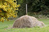 Old-style haystack in the park of Madame Elisabeth domain in Versailles, France