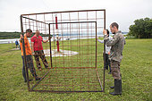 Installation of a submerged protection cage for Kamtchatka bear (Ursus arctos beringianus) - Lake Kourile, Kamchatka, Russia