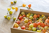 Chinese lantern, seed cases on a wooden background in autumn