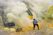 Indonesia, Java Island, East Java province, Kawah Ijen volcano, Miner and solid sulfur