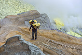 Indonesia, Java Island, East Java province, Kawah Ijen volcano, Miner carrying baskets of sulfur