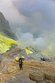 Indonesia, Java Island, East Java province, Kawah Ijen volcano, Miner carrying baskets of sulfur