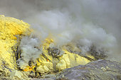 Indonesia, Java Island, East Java province, Kawah Ijen volcano, Sulfur Miners