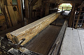 Haut Fer sawmill dating from 1878, the carriage, Territoire de Belfort, France