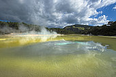 Wai-o-Tapu geotermical place, Taupo Volcanic Zone, North Island, New Zeland