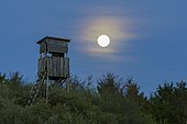 Hunting Blind at Full Moon, Odenwald, Hesse, Germany, Europe