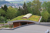 Vegetalized roof, France