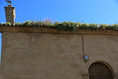 Vegetalized roof