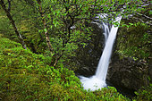 Forest waterfall, Buachaille Etive Mòr, Highland, Scotland