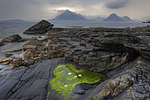 Rocky shore, Elgol, Skye, Hebrides, Scotland