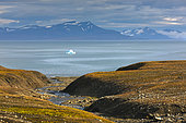 Isfjorden, Spitzberg, Svalbard Islands, Norway