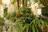 Fountain with pots of Clivia (Clivia sp), Hedychium (Hedychium sp) in the old restored cold greenhouse whose roof and glass walls have not been kept, Garden Serre de la Madone, Menton, Alpes-Maritimes, France
