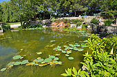 Saint Adrian Garden ponds - the Philia fountain, Philia is the Greek goddess for friendship, with stunning vegetal hair, Hérault, France