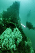 Diver in front of hot underwater hydrothermal source. The submarine volcanic chimneys of Strytan, located in the middle of the Eyjafjord Fjord, rise up from -70m up to 15m from the surface in a mixture of boiling volcanic water and cold sea water that attracts A rich and varied fauna. The Strytan site has been classified as a nature reserve since 2001, Iceland