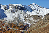 Bois de Mélèzes de l'Amprene, Ravin de la Bonette et cime de la Bonette (2860m) en automne, Vallée de la Haute Tinée, Mercantour, Alpes, France