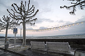 Ice sculptures on the shores of Lake Geneva during the cold wind episode of 17 January 2017, Versoix, Switzerland