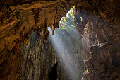 Oiseau traversant une des cavités principales des grottes de Batu, Kuala Lumpur, Malaisie