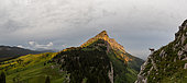 Female ibex (capra ibex) in front of Sous-Dine mountain at sunrise, Bornes mountains, Alps France