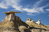 Stone Wings, hoodoos, Bisti Badlands, Bisti Wilderness Area, New Mexico, USA, North America
