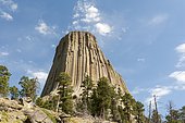 Monolith, phonolite volcanic rock, basalt, light forest of Ponderosa Pines (Pinus ponderosa), Devils Tower National Monument, Wyoming, USA, United States of America, North America
